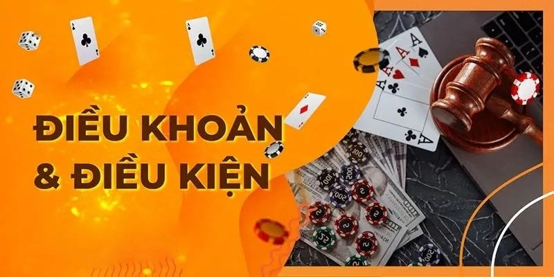 Chi tiết về điều khoản điều kiện
